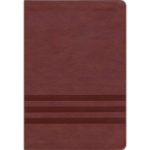 Biblia de Estudio Teología Bíblica NVI, Interior a cuatro colores, Piel Café