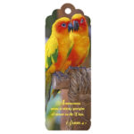 Separador 3D - Pericos