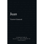 Juan, Comentario del Nuevo Testamento
