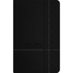 Santa Biblia de Promesas RVR-1960, Tamaño Manual / Letra grande, Piel especial, Negra