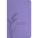 Santa Biblia de Promesas RVR-1960, Tamaño Manual, Letra grande, Piel especial, Lavanda