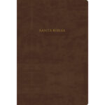 Biblia RVR 1960 de estudio Scofield, chocolate imitación piel