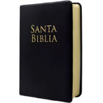Biblia Letra Grande, Tamaño Manual, Vinil Negro RVR 1960