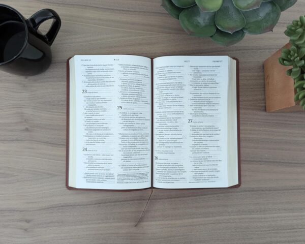 Biblia ultrafina NTV, con Filament (SentiPiel, Café, Letra Roja)