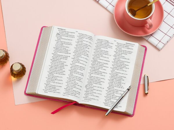 Biblia RVR1960 Tamaño Manual, Letra Gigante 14 pts. Imitación piel Rosa