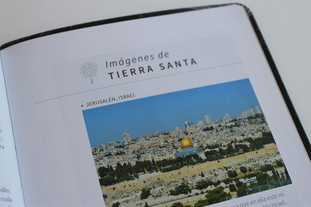 Biblia RVR 1960 letra grande tamaño manual, símil piel León de Juda