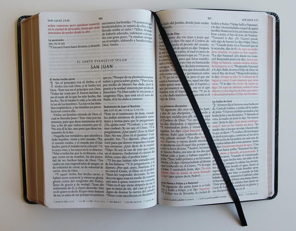 Biblia RVR 1960 letra grande tamaño manual, símil piel León de Juda