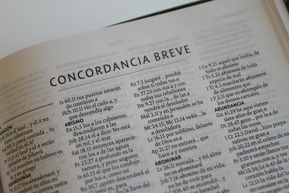 Biblia RVR 1960 letra grande tamaño manual, símil piel León de Juda